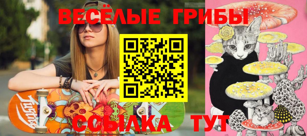 Галлюциногенные грибы прущие грибы Нурлат